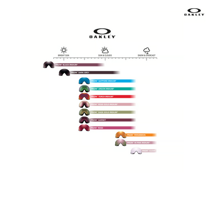 Oakley Flight Deck L Prizm Iced Iridium