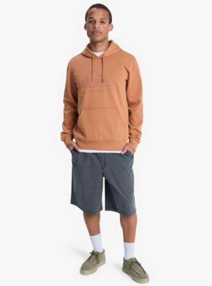 QuikSilver Comp Logo Hoodie Tobacco Brown