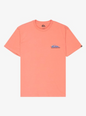 QuikSilver EV Barrel Paradise Desert Sand