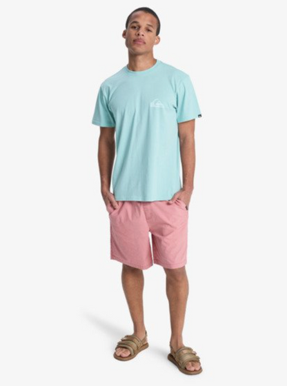 QuikSilver Ev Mini Logo Blue Haze