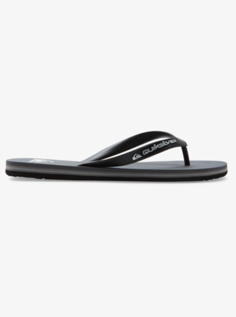 QuikSilver Molokai Core Grey