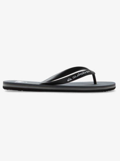 QuikSilver Molokai Core Grey
