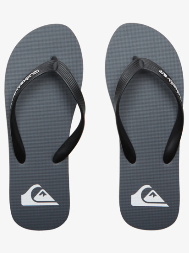 QuikSilver Molokai Core Grey