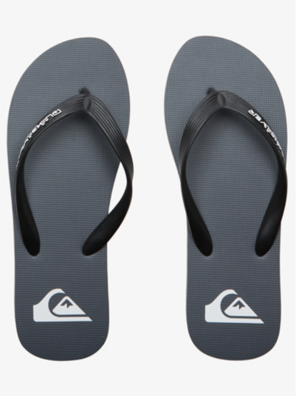 QuikSilver Molokai Core Grey